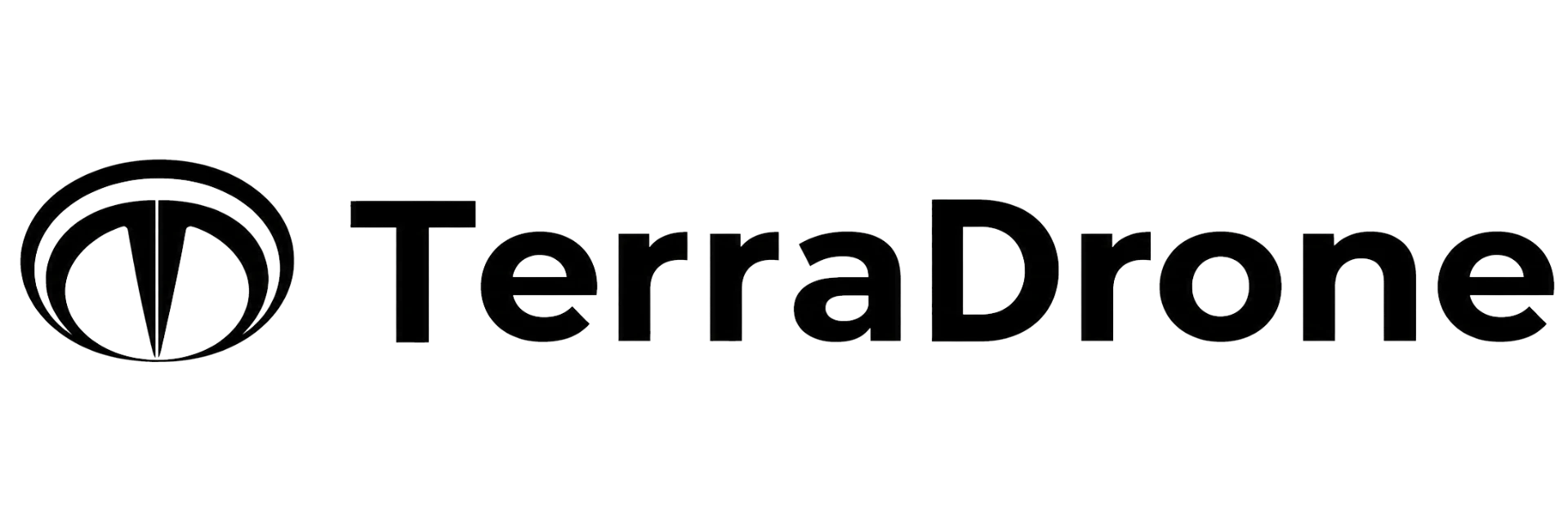 Terra Drone logo